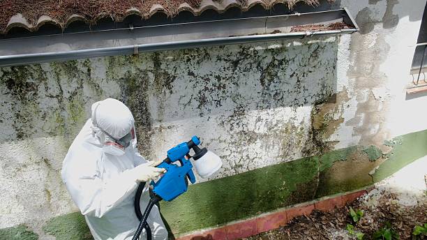 Trusted Mold Remediation service in Vincentown, NJ - Cheap Mold Removal